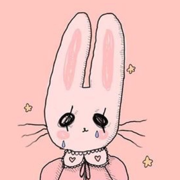 Meet your Posher, Luna - Picture 1 of 1